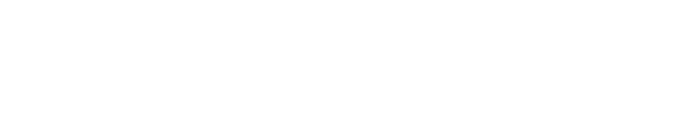 snowflake logotype